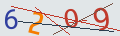 verifycode